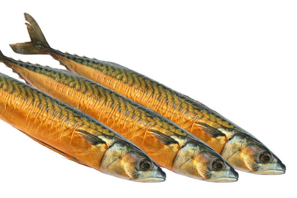 Omega-3-Fettsäuren - Fischöl besser als Pflanzenöl?