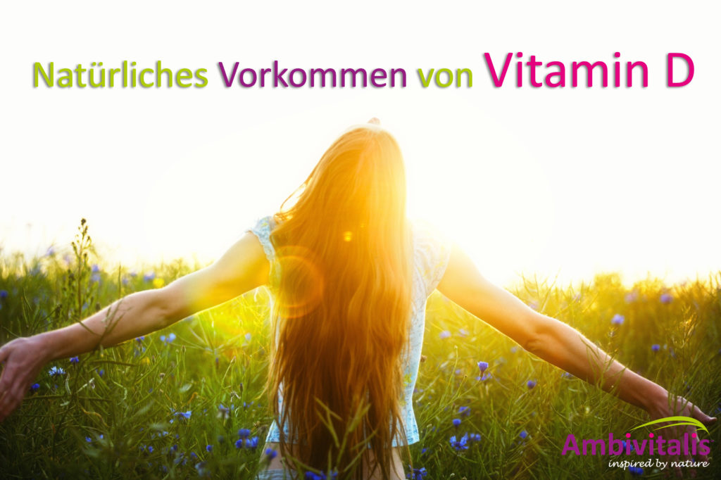 Natürliches Vorkommen von Vitamin D in Lebensmittel